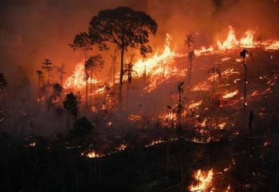 Número de queimadas na Amazônia já supera o registrado em setembro de 2021