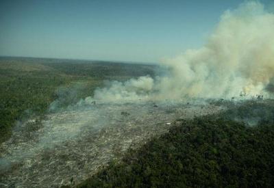 Amazônia tem segundo maior desmatamento no primeiro trimestre em 15 anos