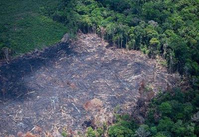 Alerta de desmatamento na Amazônia cresce 418% em janeiro, diz Inpe