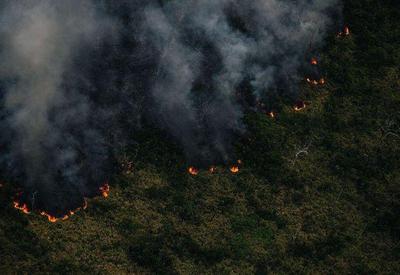 Focos de calor na Amazônia aumentaram 7,9% em um ano, aponta Inpe