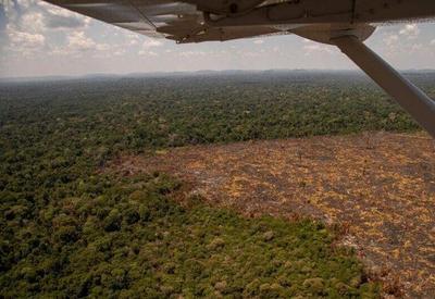 Amazônia: 1º semestre tem maior índice de alerta de desmate em 7 anos