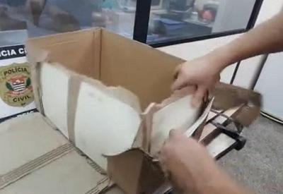 Tráfico de cocaína no papelão: turcos são presos com caixas criminosas
