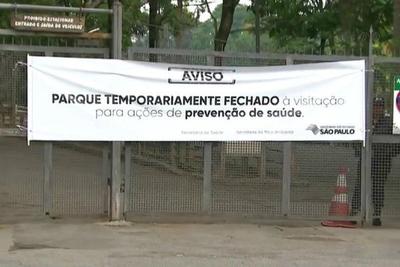 Horto e Cantareira são fechados após morte de macaco por febre amarela