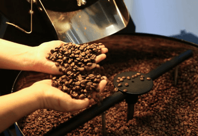 Série "Café Brasileiro: Uma Paixão Mundial" destaca tradição e inovação na cafeicultura nacional