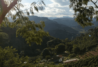 Caparaó Mineiro: sustentabilidade e excelência no café especial