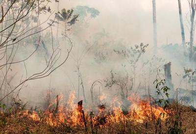 2020 foi o segundo pior ano de desmatamento na Amazônia, diz Inpe