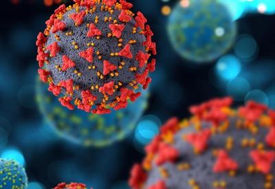 Covid-19: UE alerta para duas variantes mais contagiosas do vírus