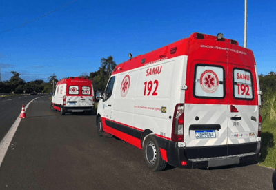 Homem morre ao ser atacado por enxame de abelhas quando trabalhava em rodovia no RS