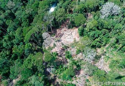 PF investiga aliciamento de lideranças indígenas para desmatamento ilegal