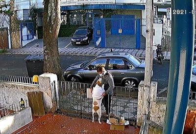 Cadela que teve roupa roubada pelo portão em São Paulo ganha moletom