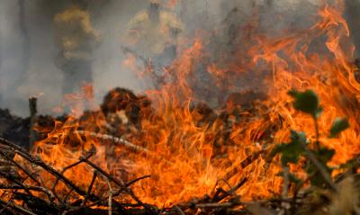 Brasil lidera ranking de queimadas na América do Sul em junho, diz Inpe
