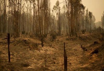 Incêndios florestais no Chile deixam mais de 20 mortos