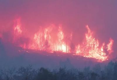 Incêndio florestal deixa um morto na França; fogo ainda não foi controlado