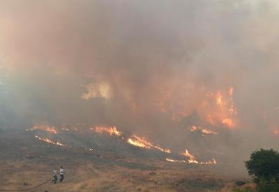 Incêndios se espalham por Turquia, Grécia e Albânia