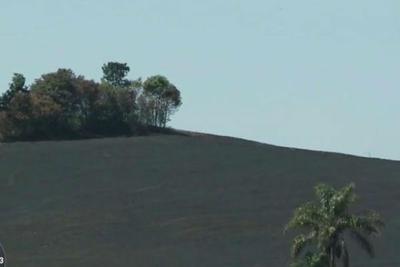 Indígenas ateiam fogo em plantações no Rio Grande do Sul 