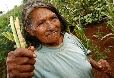 Censo Agro: indígenas tem mais mulheres no trabalho e produção diversa