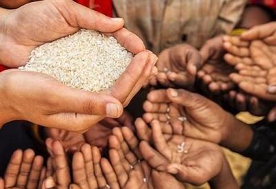 80 países votam a favor da isenção nas compras do Programa Mundial de Alimentos