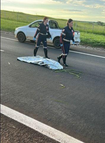 Médica é afastada após declarar por engano morte de mulher atropelada em Bauru (SP)