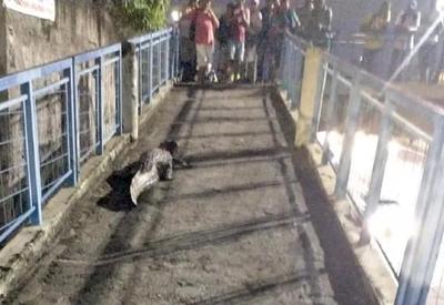 Vídeo: jacaré é flagrado em passarela de terminal no Rio de Janeiro