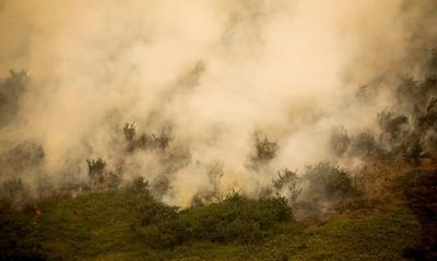 Pantanal: 90% dos incêndios florestais são causados por ação humana 