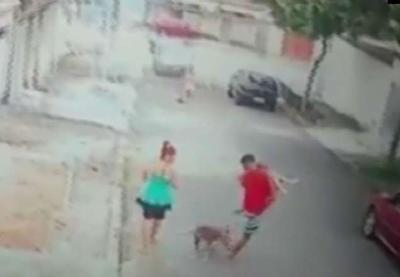 Jovem salva menino de 5 anos de ataque de pitbull no Rio de Janeiro