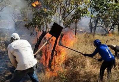 Justiça do Pará manda soltar brigadistas suspeitos de provocar incêndio