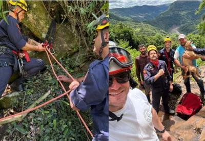 Cadela é resgatada após quatro dias presa em mata no Rio Grande do Sul