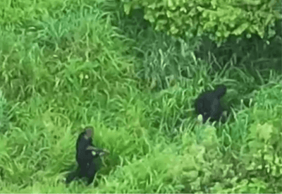 Operação policial tem 9 suspeitos mortos em 48 horas na Bahia