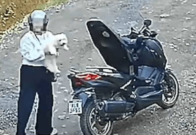 Cachorro corre atrás de mulher após ser abandonado e cena gera revolta em SC; assista