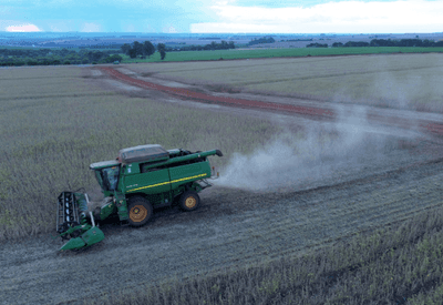 Agro brasileiro nega práticas ilegais em audiência nos Estados Unidos