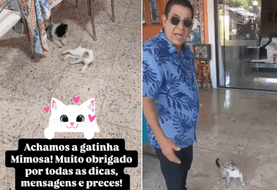 Zeca Pagodinho encontra gata Mimosa, que estava desaparecida