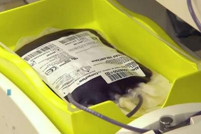 Medo de febre amarela prejudica doações de sangue em SP