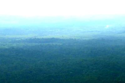Michel Temer veta MP que reduzia área de preservação da Amazônia