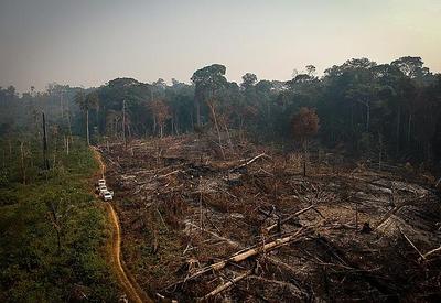 Ministro do Meio Ambiente nega erros do governo sobre desmatamento