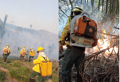 Incêndio florestal atinge Terra Indígena no sul do Amazonas há uma semana