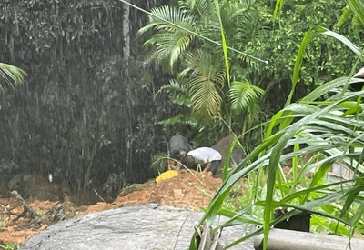 Duas pessoas são resgatadas após desabamento de casas em Salvador