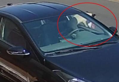 Vídeo flagra cachorro invadindo carro e furtando marmita em SP