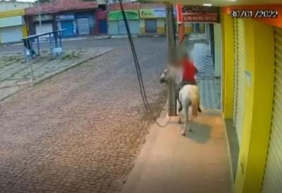 Homem usa cavalo para tentar roubar cobre de fiação pública