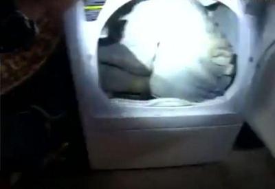 Vídeo: Traficante se esconde em secadora e acaba preso nos EUA