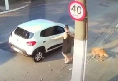 SP: motorista recusa transportar deficiente visual por causa de cão-guia