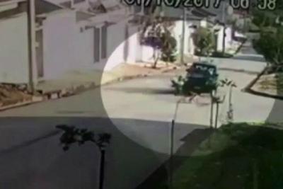 Motorista que atropelou cachorros de propósito em Minas Gerais é identificado