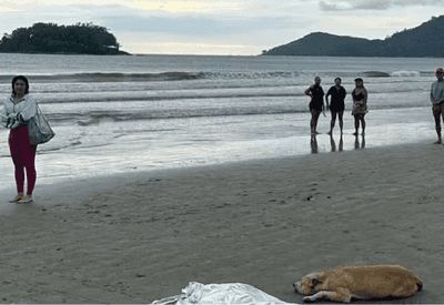 Cachorro fica ao lado do corpo do dono que morreu afogado e emociona Balneário Camboriú (SC)