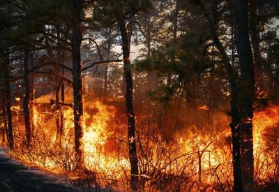 Incêndios florestais levam à evacuação nas Carolinas do Norte e do Sul, nos EUA