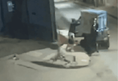 Criminosos furtam quase 40 banheiros químicos em Minas Gerais