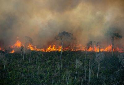Amazônia registra maior número de queimadas para agosto desde 2010