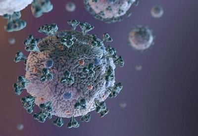 Ômicron pode ser mais contagiosa por ter 'copiado' vírus do resfriado