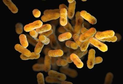 Número de mortes por tuberculose aumenta com pandemia de covid-19