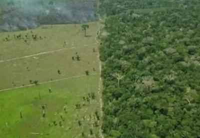 ONGs se unem para lançar ferramenta contra desmatamento no Brasil