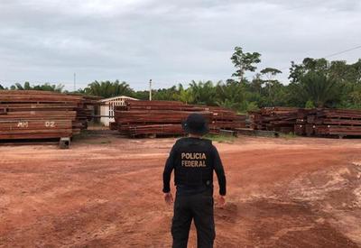 PF apreende mais de 7 mil caminhões de madeira ilegal na Amazônia