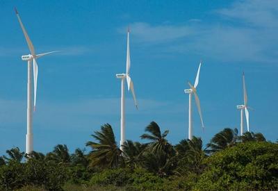 Geração de energia eólica e solar bate recorde em meio à crise hídrica